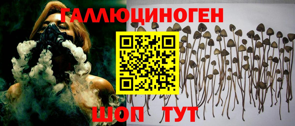 Семилуки  Галлюциногенные грибы Psilocybine cubensis  Вход с VPN 