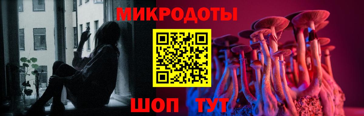 Псилоцибиновые грибы Cubensis Семилуки