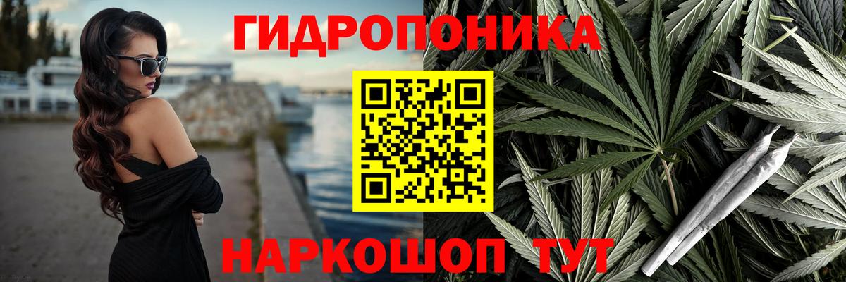 Конопля сатива Семилуки